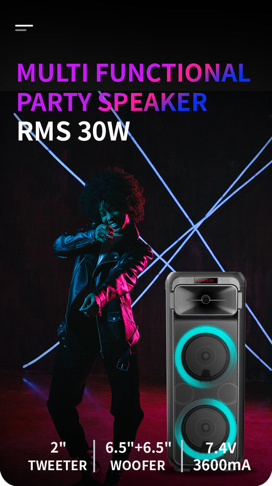 Portable Party Speaker with Handle 30W 6.5" Woofer x 2 & 3" Tweeter with RGB LED