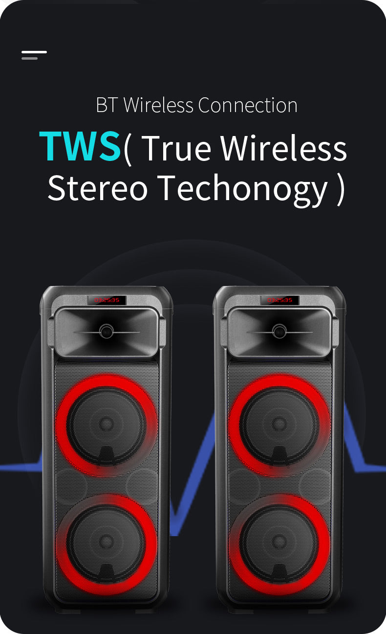 Portable Party Speaker with Handle 30W 6.5" Woofer x 2 & 3" Tweeter with RGB LED