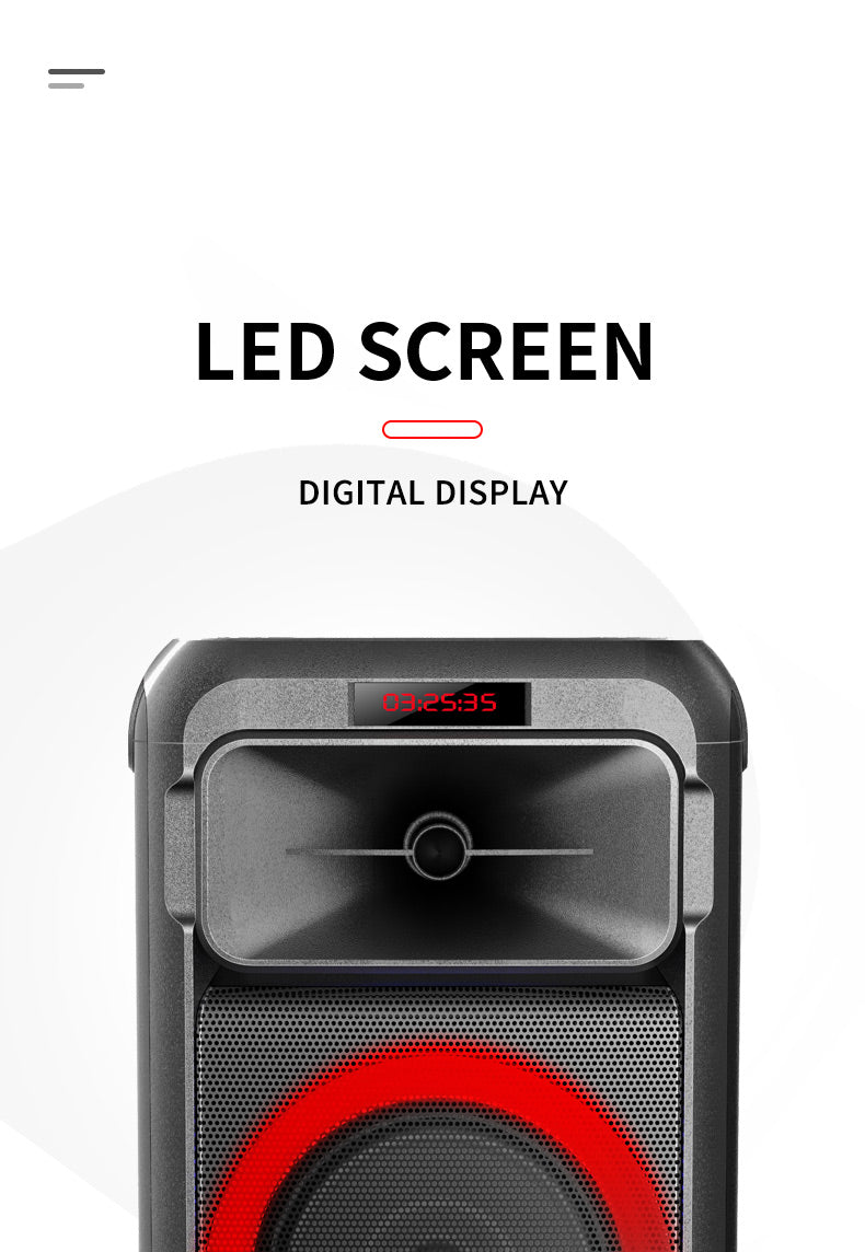 Portable Party Speaker with Handle 30W 6.5" Woofer x 2 & 3" Tweeter with RGB LED