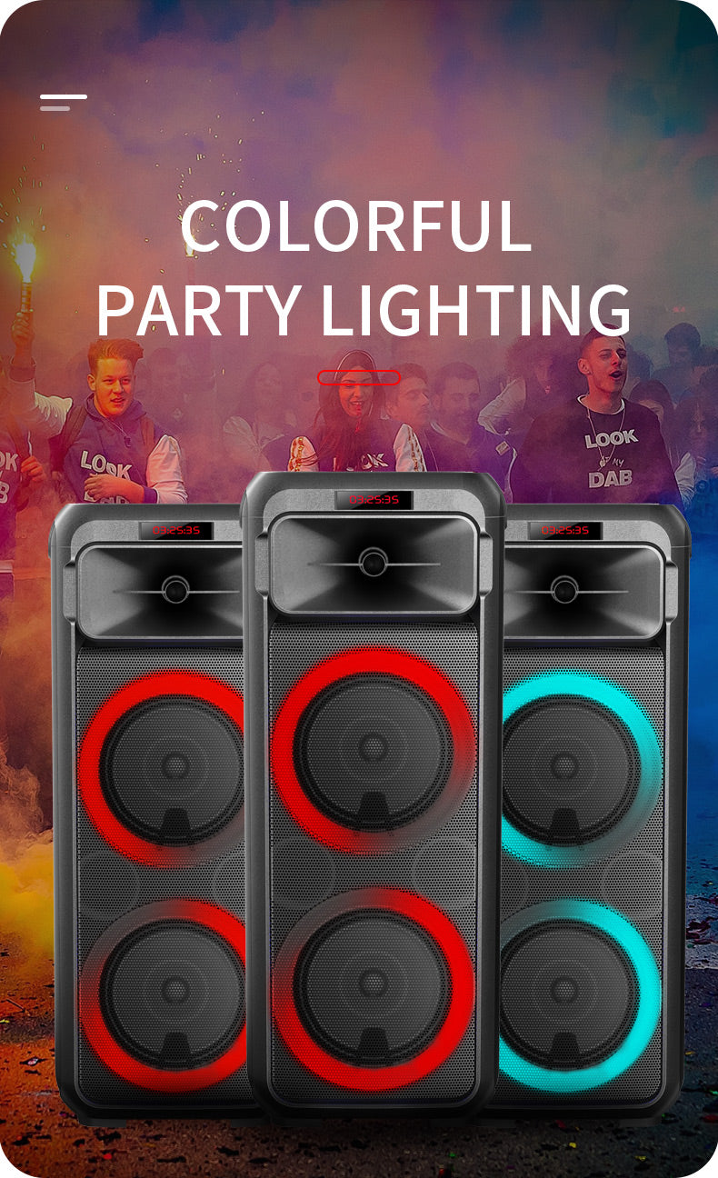 Portable Party Speaker with Handle 30W 6.5" Woofer x 2 & 3" Tweeter with RGB LED